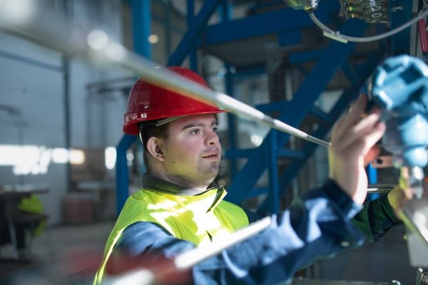 Quali sono le strategie migliori per introdurre un gatto di razza Cymric in una casa con altri animali domestici?